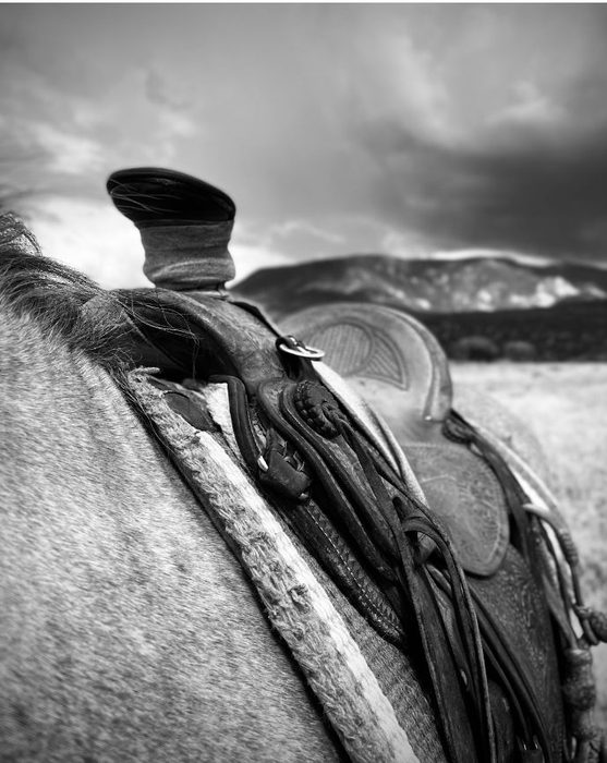 Close-up of a western saddle on a horse in Cedar City, Utah mountains